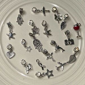 15 Silver Charm Collection